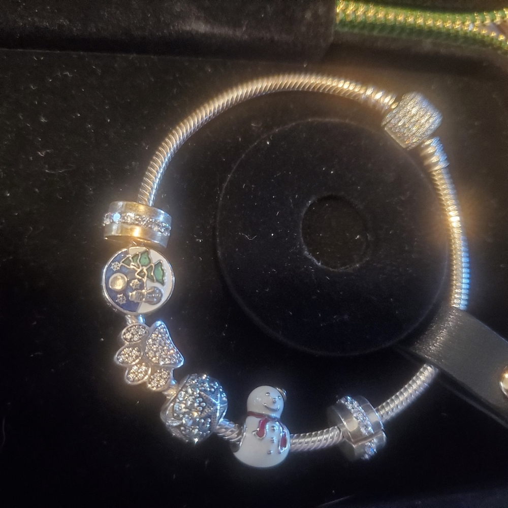 Pandora charms, bracelet and wristlet zippered case